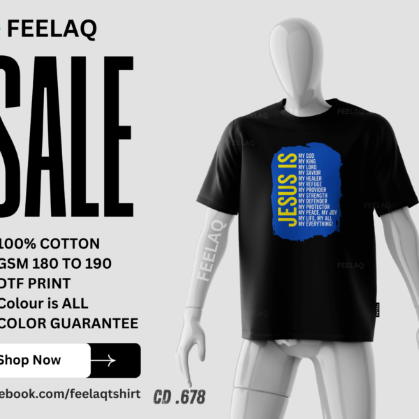 Basic T-Shirt CD .678