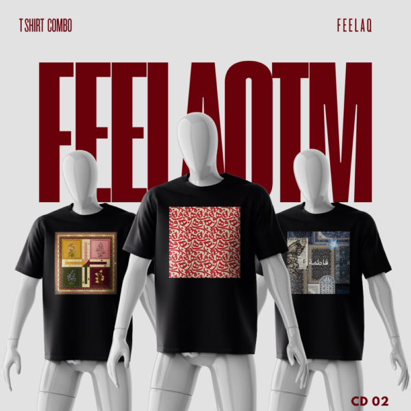 Premium Basic T-Shirt Combo......FEELAQ