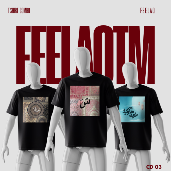 Premium Basic T-Shirt Combo......FEELAQ