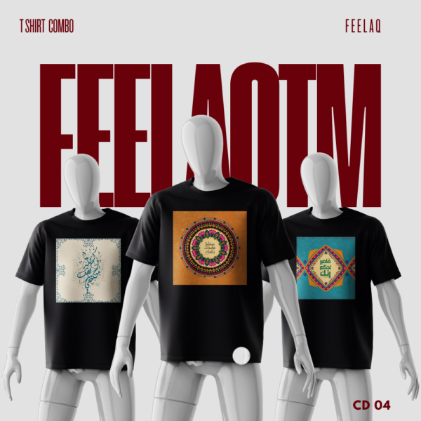 Premium Basic T-Shirt Combo......FEELAQ