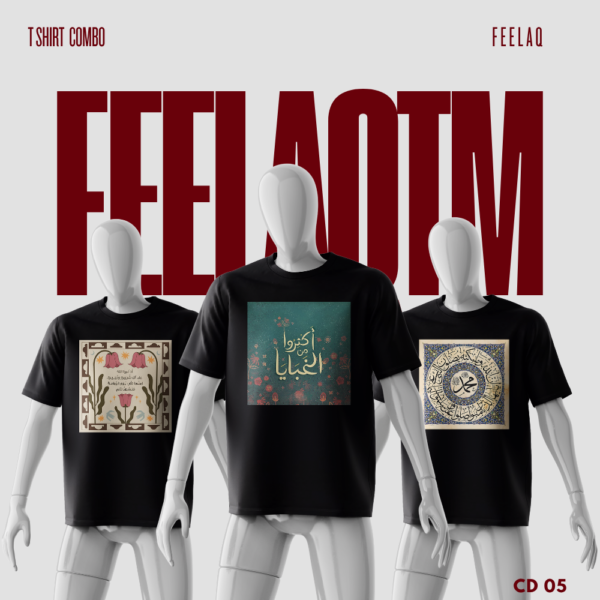 Premium Basic T-Shirt Combo......FEELAQ