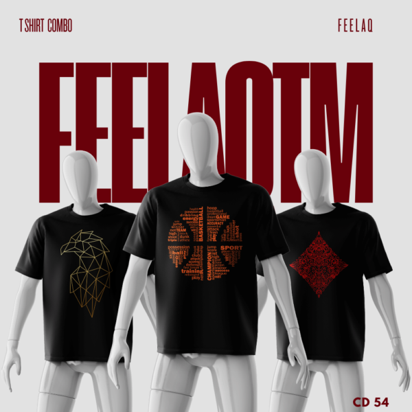 Premium Basic T-Shirt Combo