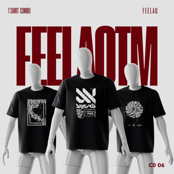 Premium Basic T-Shirt Combo......FEELAQ