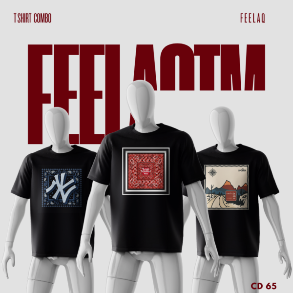 Premium Basic T-Shirt Combo