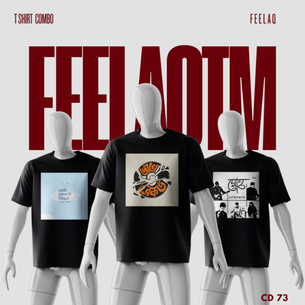 Premium Basic T-Shirt Combo......FEELAQ