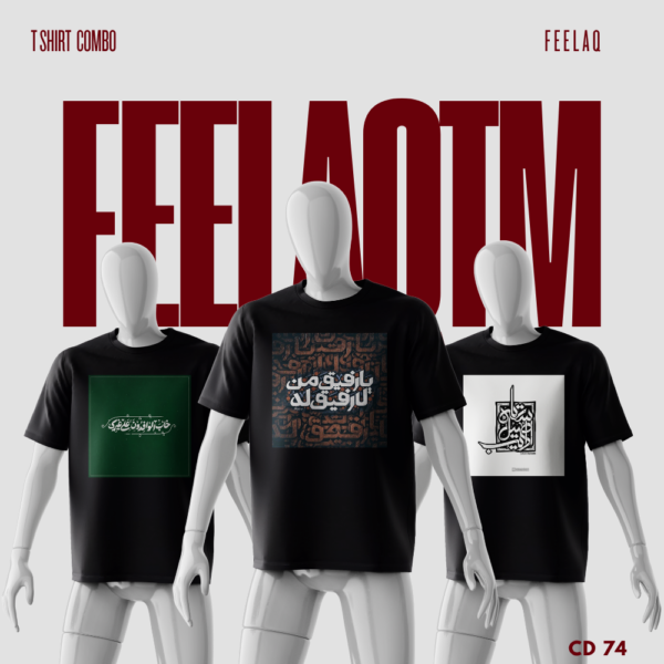 Premium Basic T-Shirt Combo......FEELAQ