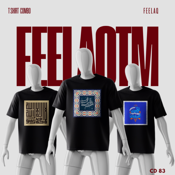Premium Basic T-Shirt Combo......FEELAQ