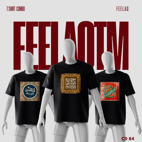 Premium Basic T-Shirt Combo......FEELAQ