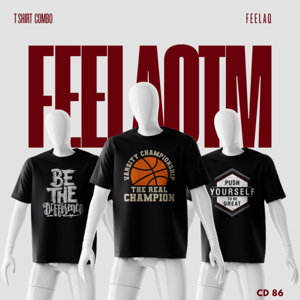 Premium Basic T-Shirt Combo......FEELAQ