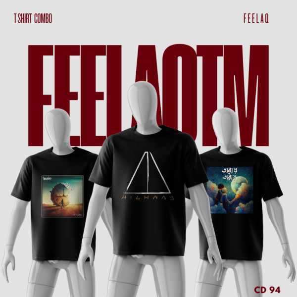 Premium Basic T-Shirt Combo......FEELAQ